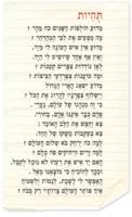 תהיות