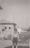 בחצר 1954