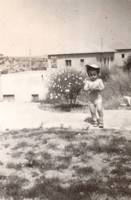 דוגמן בחצר 1953