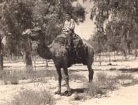 טיול לנגב 1965