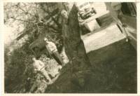 רוני ואבא 1960