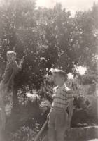 רוני ואבי 1960 1